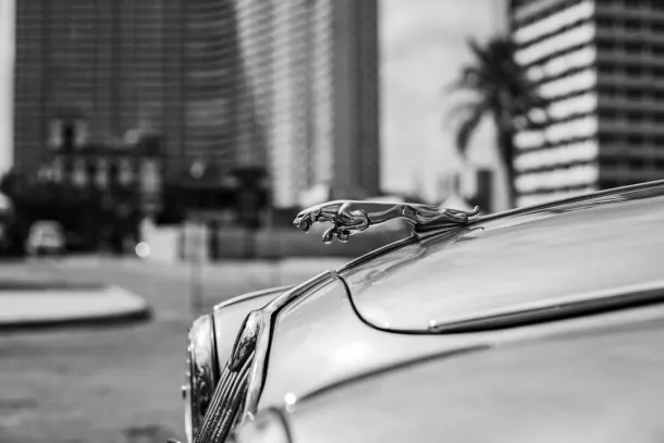 Casino Extra App Android/iOS